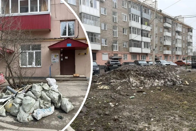 Свои слова чиновник проиллюстрировал примерами | Источник: Илвир Нурдавлятов / T.me