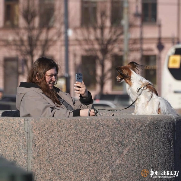 Источник: Павел Даиси / «Фонтанка.ру»