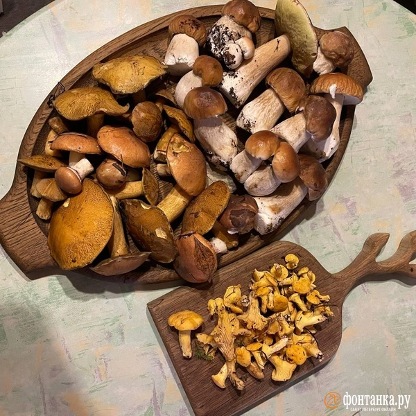 Источник: Алёна Ковкова