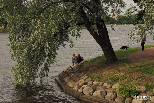 Хотите тепла или грозу? В эти выходные в Петербурге будет и то, и другое | Источник: Михаил Огнев / FONTANKA.RU