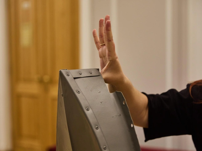 Большинство чешуек восстановлено, часть создана заново | Источник: Александр Ощепков / NGS.RU