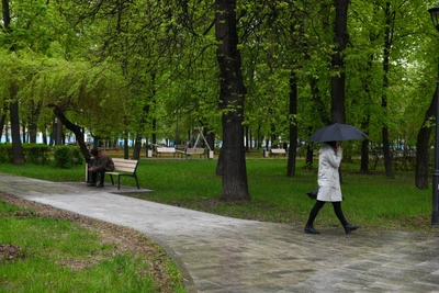 В Москве после засухи ожидаются дожди
