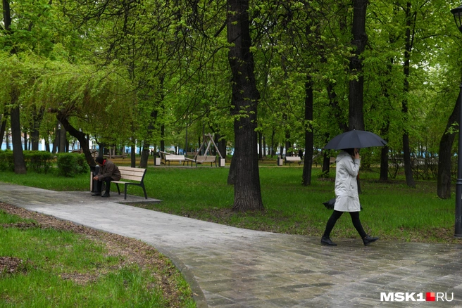 В ближайшие дни погода в Москве останется облачной | Источник: Артём Устюжанин / MSK1.RU