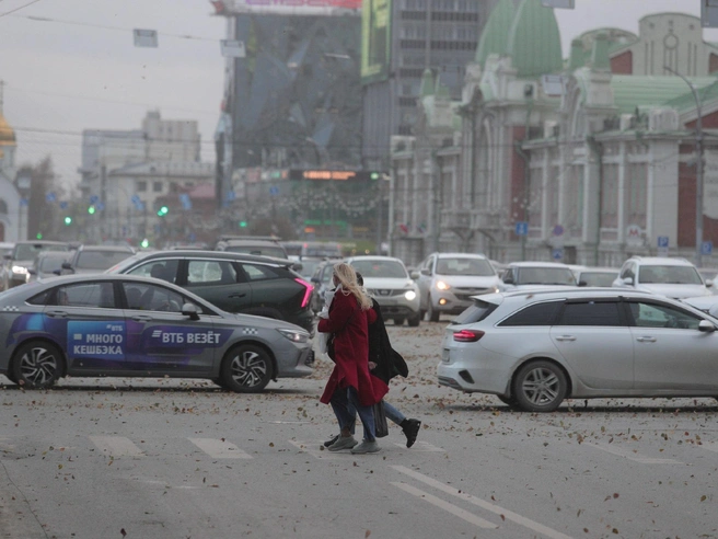 Ветер моментально сорвал всю листву с деревьев. | Источник: Андрей Бортко / NGS.RU