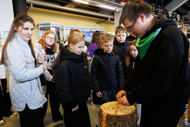 Источник: st.cherinfo.ru