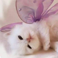 Аватарка Virtual_Girl