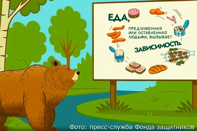 ВТБ и Фонд защитников природы представили проект Земля медведя