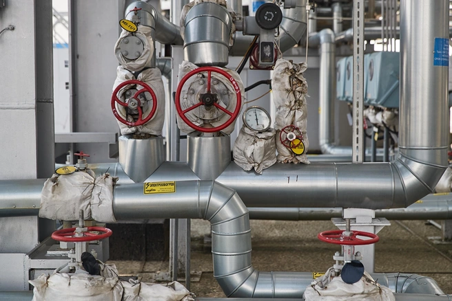 фото из архива | Источник: Александр Ощепков / NGS.RU