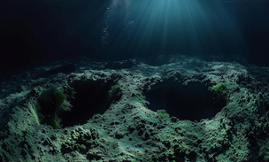 Одинаковые отверстия по 11 см: геологи выяснили, кто вырыл загадочные ямы на дне Северного моря