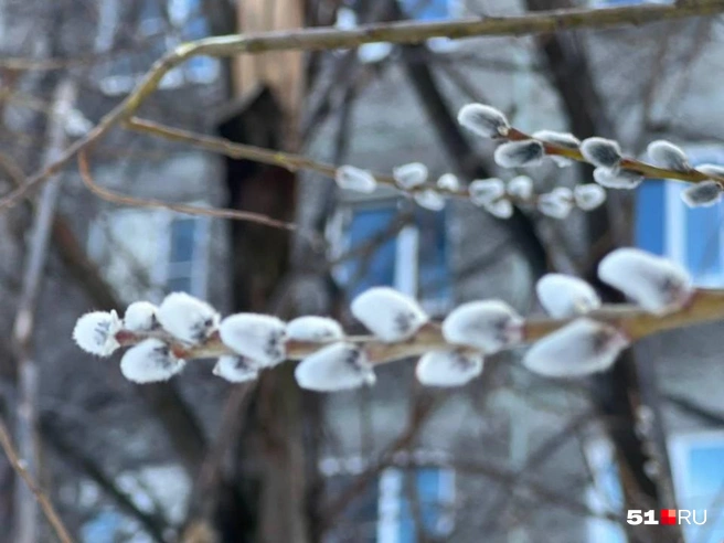 Под конец апреля в Заполярье придет тепло | Источник: Александра Балаба