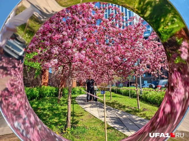 Даже в будний день были люди | Источник: Булат Салихов / UFA1.RU