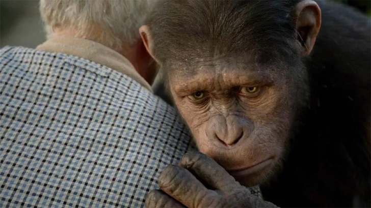 Все фильмы про планету обезьян от худшего к лучшему