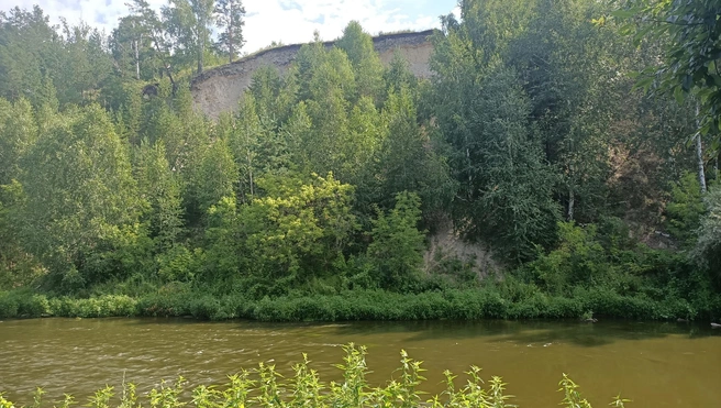 Белая гора в Красноармейском районе — тоже отличное место для поиска окаменелостей | Источник: Елена Пастухова