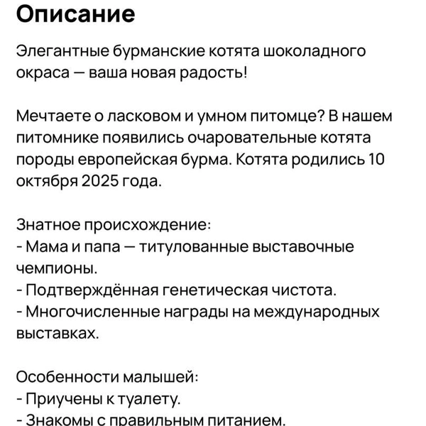 У котят отличная родословная  | Источник: сайт бесплатных объявлений