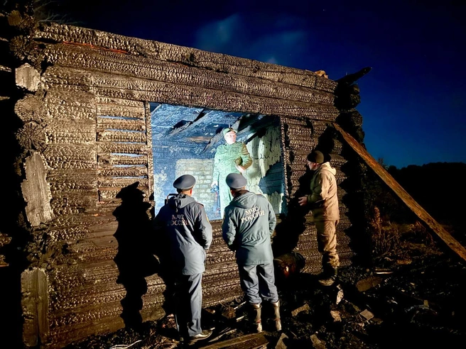 В Зауралье пьяный сельчанин сжег в доме трех человек: погибли женщина и двое маленьких детей  | Источник: Пресс-служба СУ СКР по Курганской области 