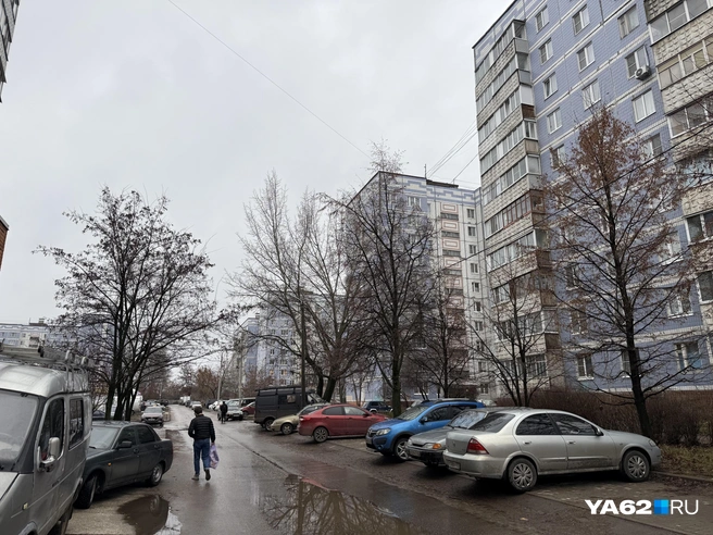 Как и соседнее Канищево, Недостоево застроено облицованными голубоватым кафелем десятиэтажками | Источник: Сергей Петунин / YA62.RU
