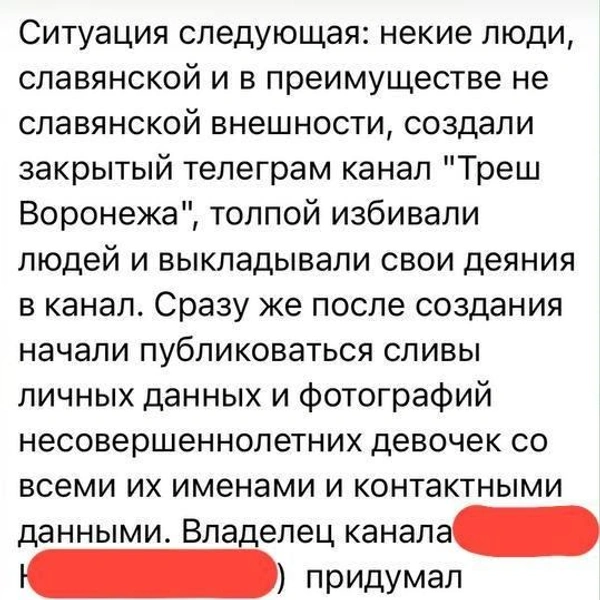 Источник: Екатерина Мизулина / t.me