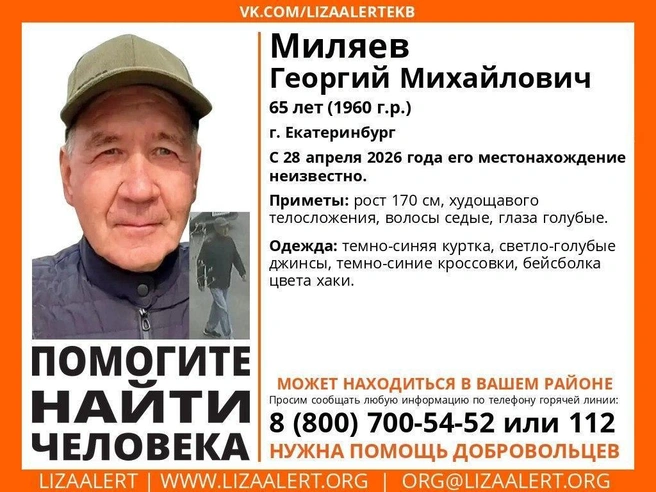 Источник: «ЛизаАлерт» Свердловской области