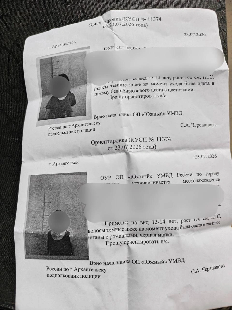 Источник: Жизнь Архангельска / Vk.com
