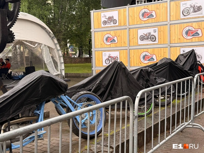 Источник: Полина Краснопевцева / E1.RU