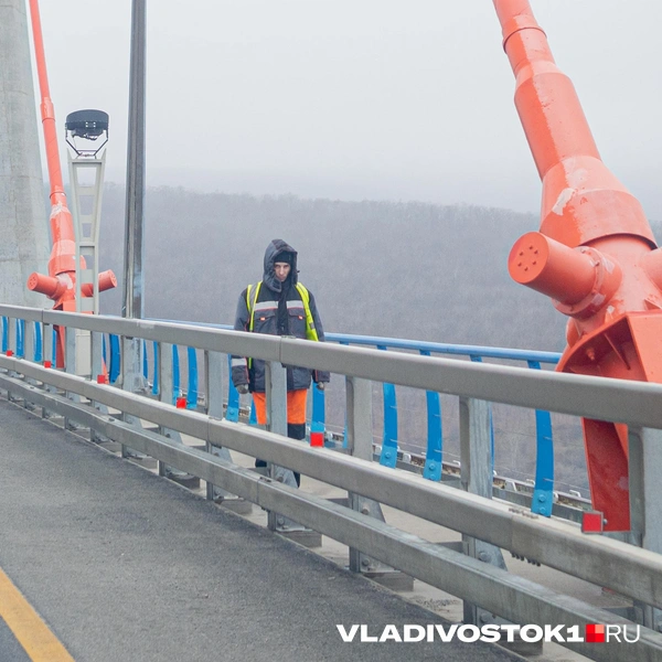 Источник: Елена Буйвол / VLADIVOSTOK1.RU