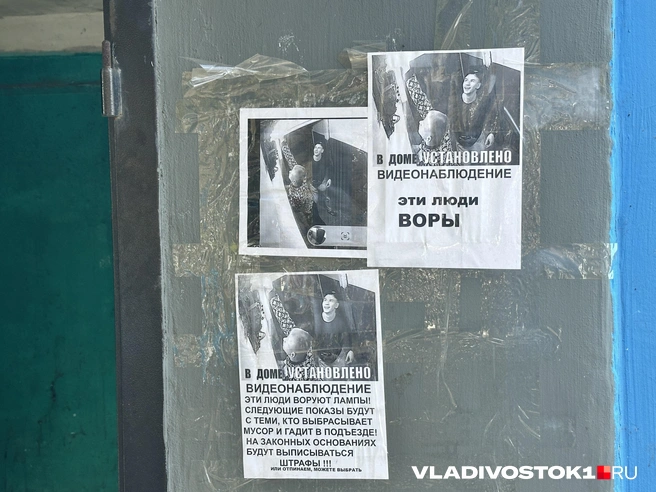 Источник: Елена Буйвол / VLADIVOSTOK1.RU
