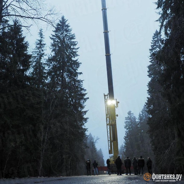 Источник: Михаил Огнев / FONTANKA.RU