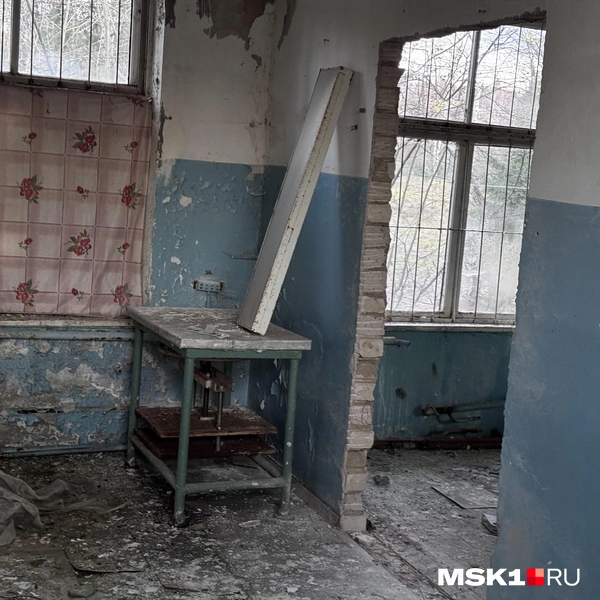 Источник: Алина Мельникова / MSK1.RU