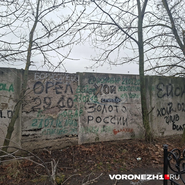 Источник: Алёна Воропаева / Voronezh1.ru