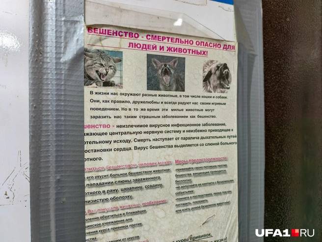 Так что аккуратнее | Источник: Булат Салихов / UFA1.RU