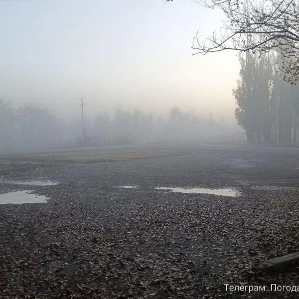 Источник: Meteo Volgograd / Telegram