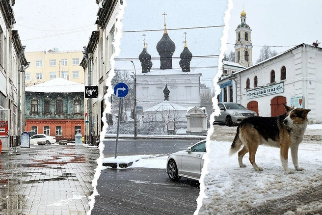 Не сделать такой кадр было нельзя | Источник: Андрей Бирюков / UFA1.RU, Полина Авдошина / Городские медиа