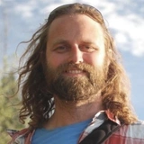 «Они как люди». Оказалось, что тупорылые акулы умеют дружить