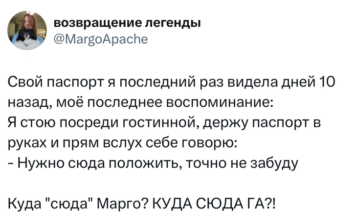 Источник: X (Twitter)