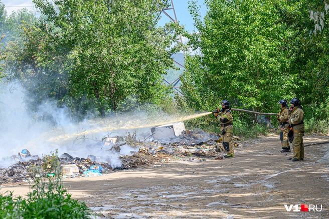 Тополиный пух быстро вспыхивает и легко распространяет огонь | Источник: Олег Фёдоров / CHITA.RU