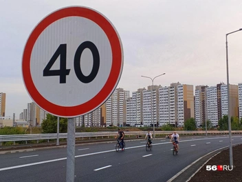 Ограничение&nbsp;— 40&nbsp;км/ч, но кого это остановит на пустой трассе? | Источник: Владислав Митрошин / 56.RU