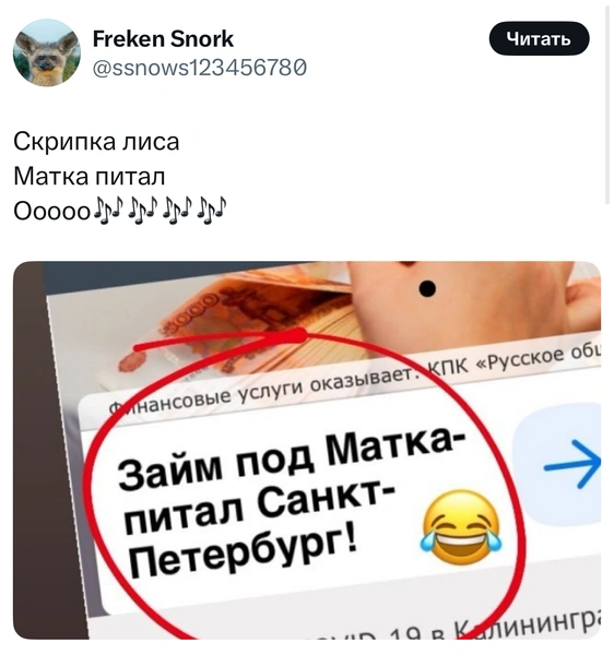 Источник: X (Twitter)