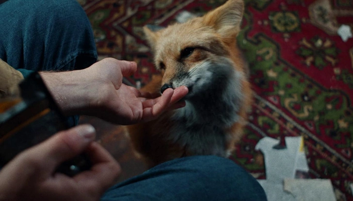 Зверь в человечьей шкуре: где снимали сериал «Как приручить лису» | Источник: kinopoisk.ru