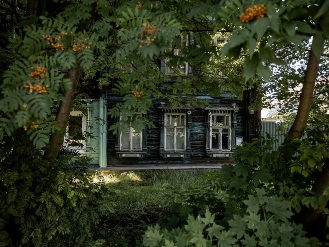 Дом скрыт за рябиновыми деревьями. | Источник: Александр Куренной / 76.RU