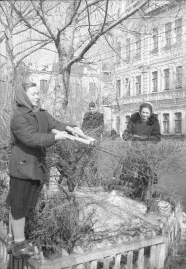 Весенняя подрезка кустарников. 1952 год | Источник: фотофонд Самарского областного государственного архива социально-политической истории