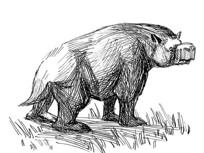 Огромный дипротодон Zygomaturus trilobus | Источник: из книги Станислава Дробышевского «Борьба за обед»