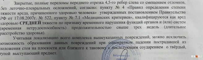 Экспертиза квалифицировала повреждения как вред здоровью средней тяжести | Источник: читатель E1.RU