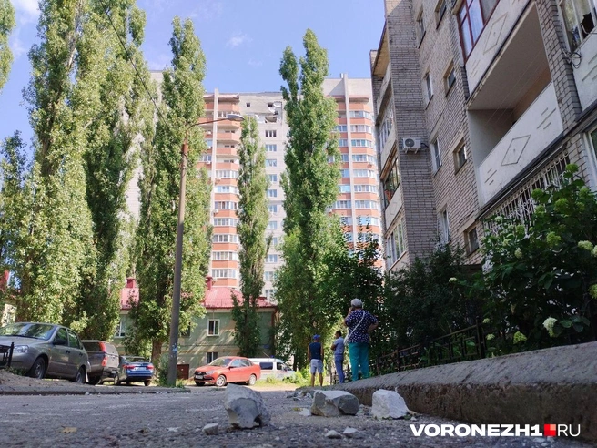 Источник: Дмитрий Волгин / Voronezh1.ru