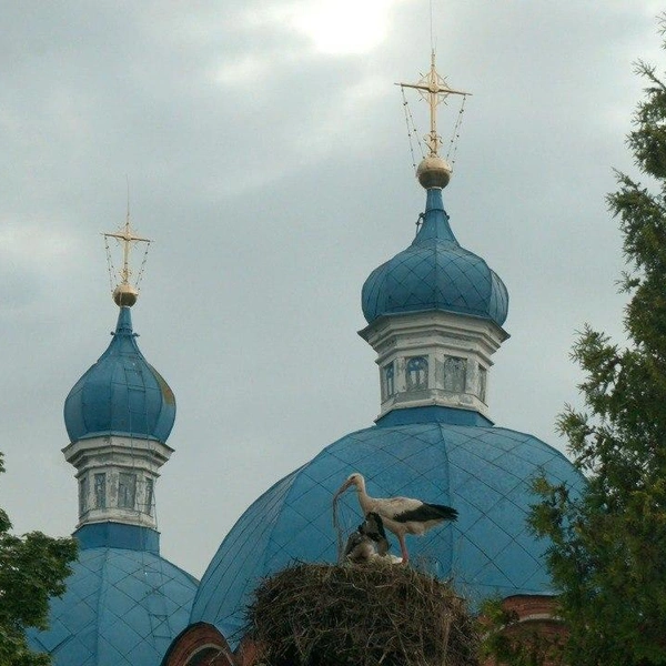 Источник: Павел Глазков / Каждой твари по паре