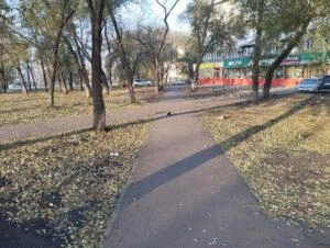 В числе положительных изменений организация освещения, которое помогает пешеходам добираться до остановки в темное время суток | Источник: Kuzrab.ru