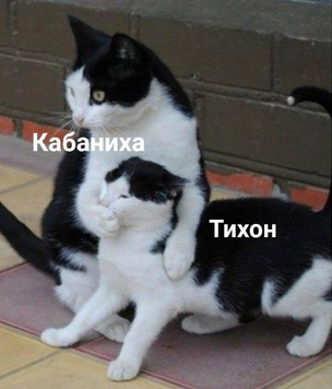 Смешные картинки и мемы, понятные только тому, кто любит книги и читать