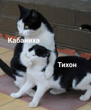 Смешные картинки и мемы, понятные только тому, кто любит книги и читать