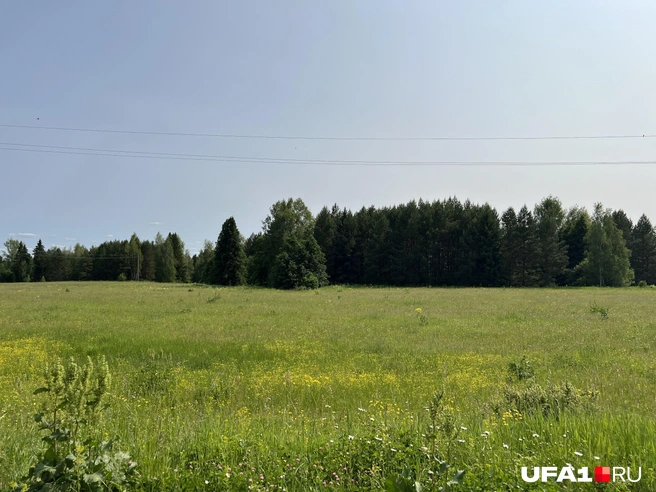 Пейзаж не менялся | Источник: Андрей Бирюков / UFA1.RU
