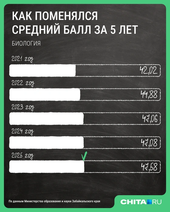 Источник: Мария Романова / Городские медиа