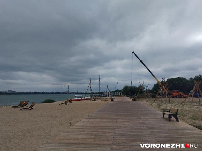 Источник: Дмитрий Волгин / Voronezh1.ru